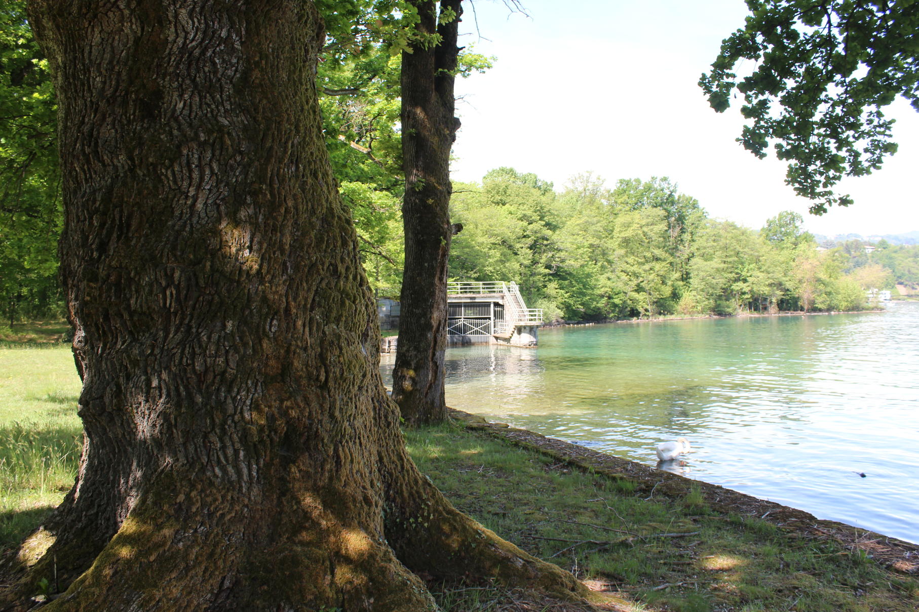 14 - Pella, Gozzano, Lago d’Orta – Appartamenti e villa con vista mozzafiato sul lago e sull’isola, spiaggia privata e posto barca. PELLA
